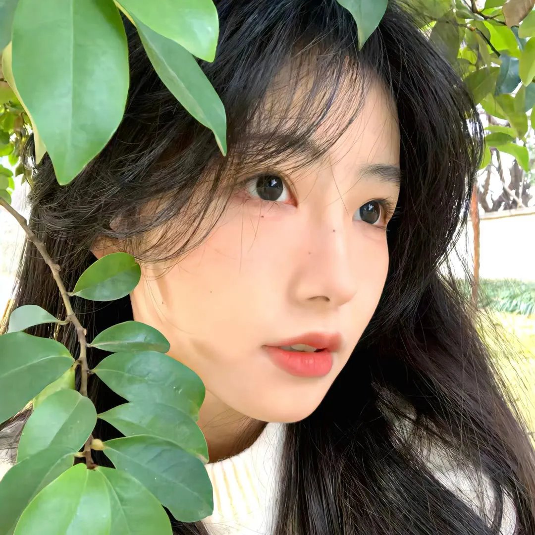 红项圈