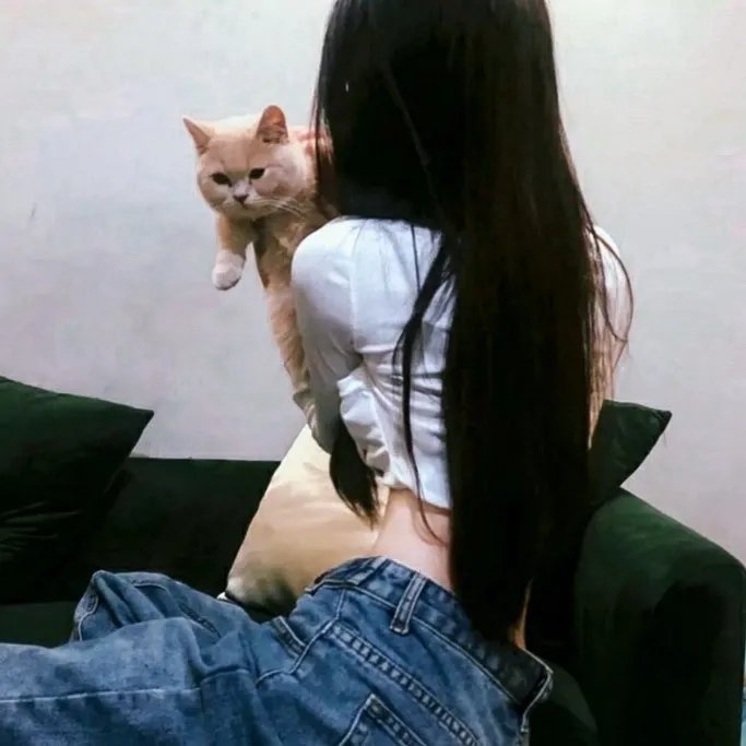 坚不可摧